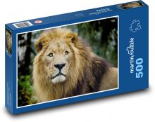 Lion - big cat, animal Puzzle of 500 pieces - 46 x 30 cm 