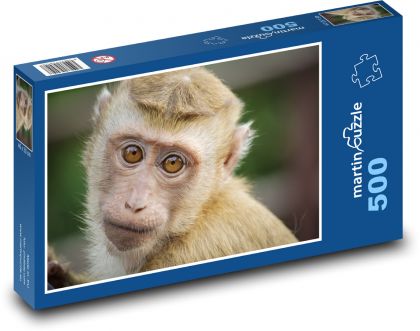 Monkey - cute, zoo - Puzzle of 500 pieces, size 46x30 cm 