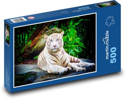 Bílý tygr - zvíře, zoo - Puzzle 500 dílků, rozměr 46x30 cm