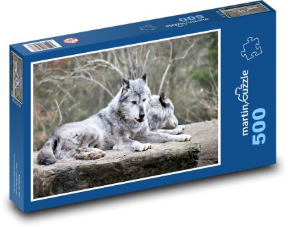 Arctic wolf - animal, mammal - Puzzle of 500 pieces, size 46x30 cm 