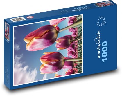 Fialové tulipány - jarní květiny - Puzzle 1000 dílků, rozměr 60x46 cm