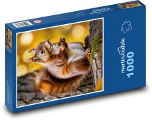 Veverka - lesní zvíře Puzzle 1000 dílků - 60 x 46 cm