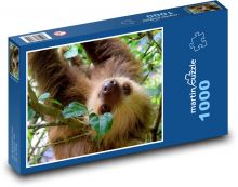 Tree sloth Puzzle 1000 pieces - 60 x 46 cm