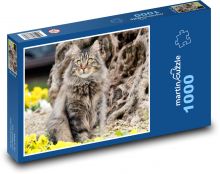 Cat - Pet Puzzle 1000 pieces - 60 x 46 cm