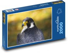 Gyrfalcon - sokol Puzzle 2000 dielikov - 90 x 60 cm