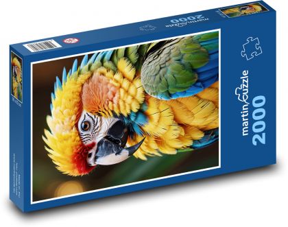 Ara parrot - bird - Puzzle 2000 pieces, size 90x60 cm 