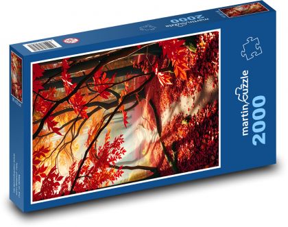 Lesná cesta s jesennými listami - Puzzle 2000 dielikov, rozmer 90x60 cm 