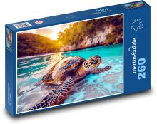 Sea turtle on the beach Puzzle 260 pieces - 41 x 28.7 cm 