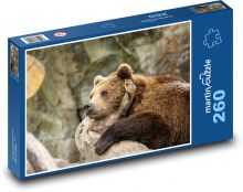 Medvěd grizzly Puzzle 260 dílků - 41 x 28,7 cm