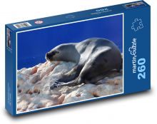 Seafood - sea lion Puzzle 260 pieces - 41 x 28.7 cm