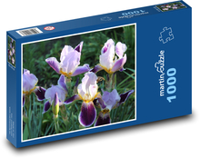 Iris, flower, garden Puzzle 1000 pieces - 60 x 46 cm 