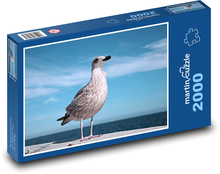 Bald gull Puzzle 2000 pieces - 90 x 60 cm