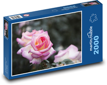 Pink rose - flower, botany Puzzle 2000 pieces - 90 x 60 cm