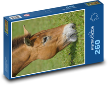 Horse Puzzle 260 pieces - 41 x 28.7 cm 