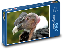 Condor - bird of prey Puzzle 260 pieces - 41 x 28.7 cm 