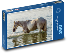 Horse in the water - bath, pond Puzzle 260 pieces - 41 x 28.7 cm 